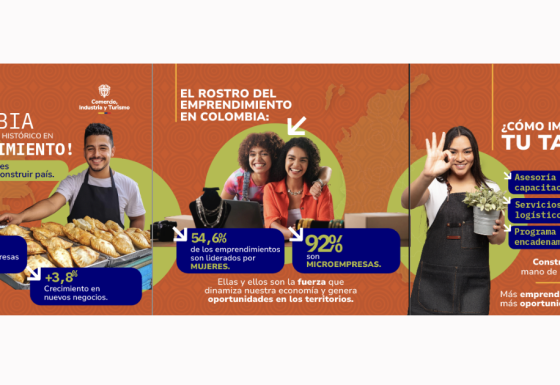 Carrusel emprendimiento